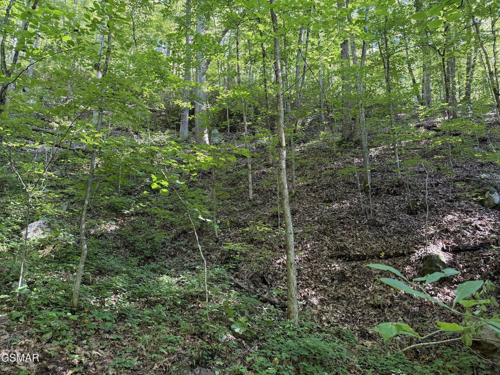 Picture 40