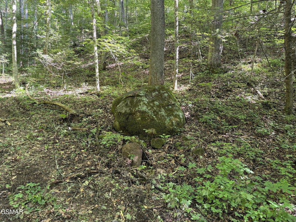 Picture 36