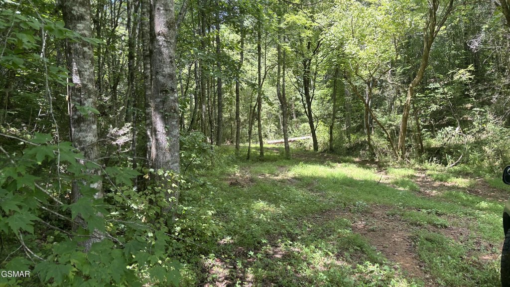 Picture 9
