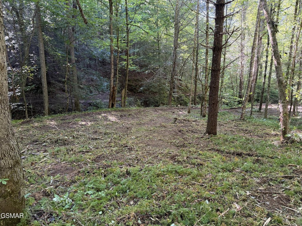 Picture 30
