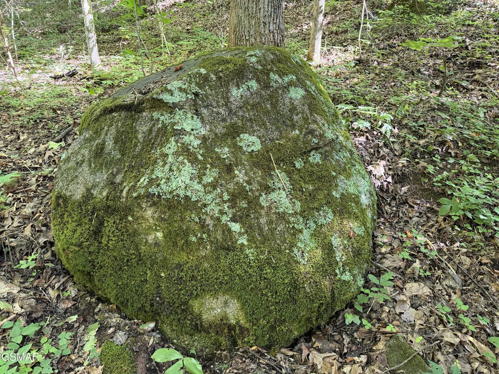 Picture 38