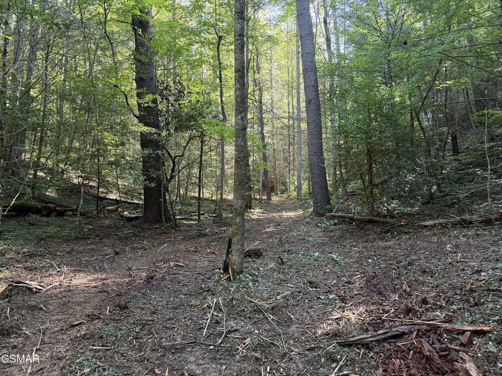 Picture 18