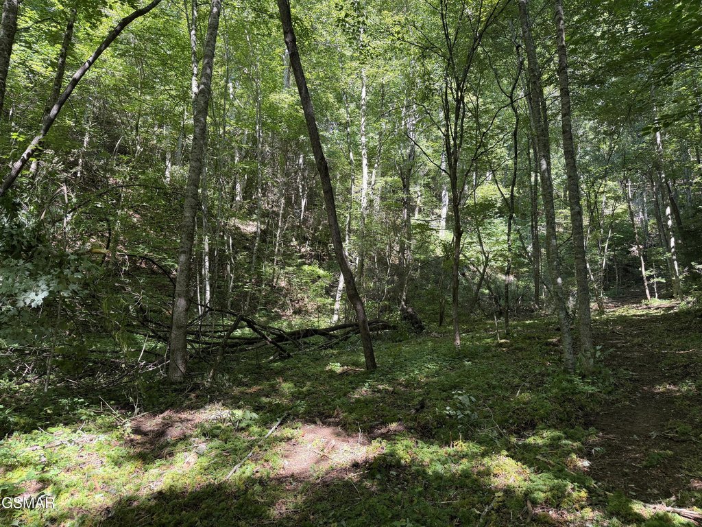 Picture 35