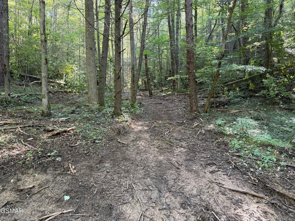 Picture 16