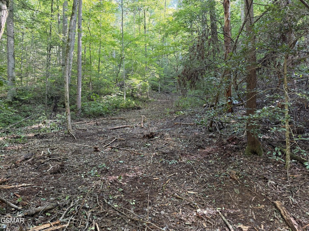 Picture 21