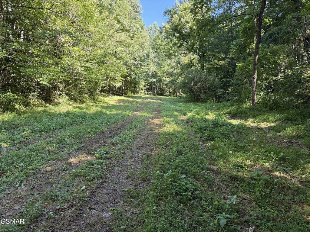 Picture 33