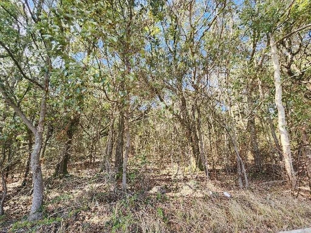 Unrestricted Wooded Land Parcel