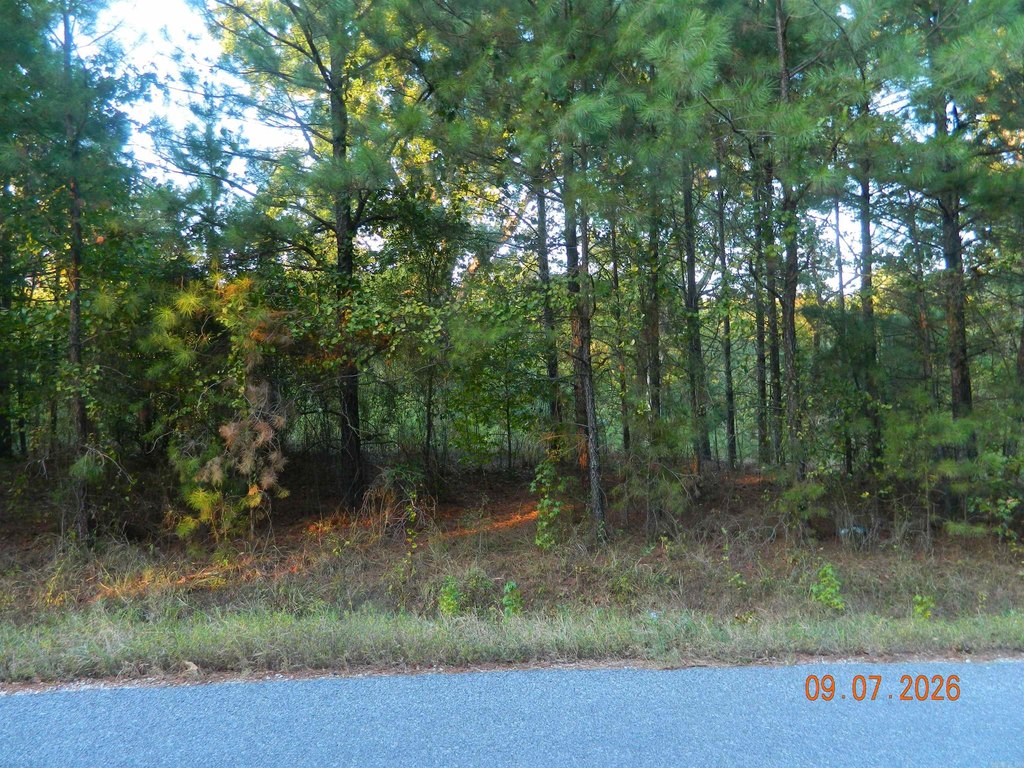 Picture 2