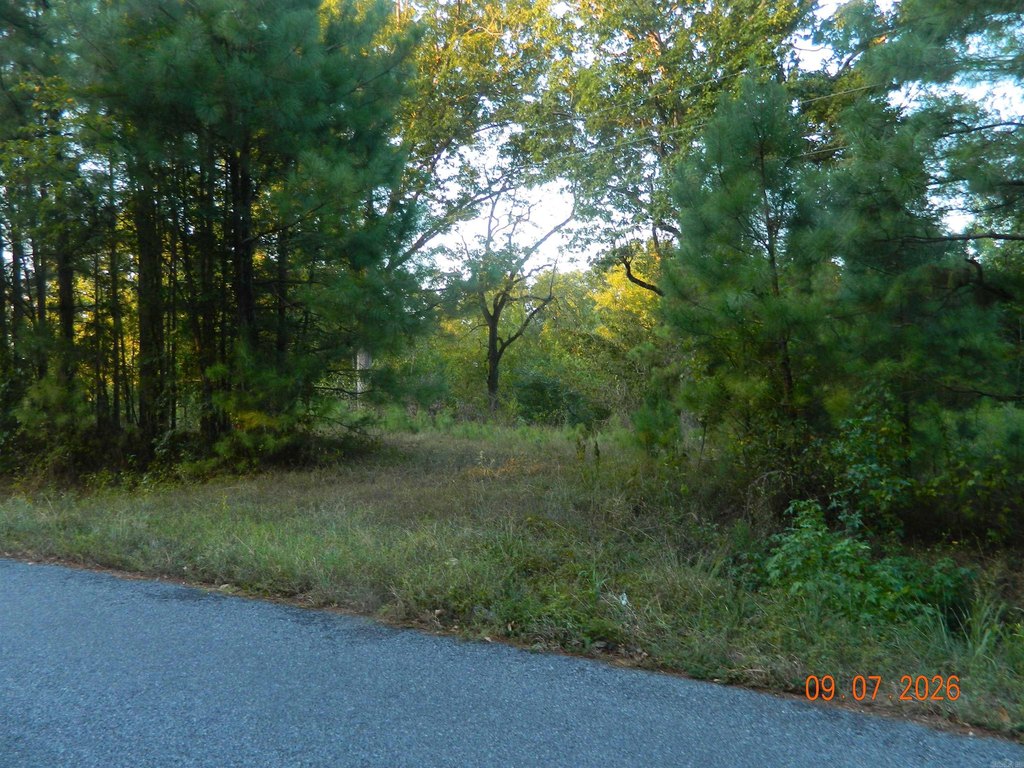 Picture 3