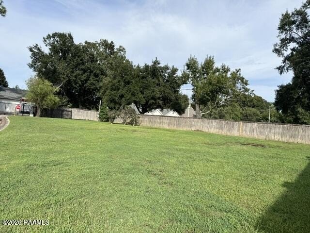 Picture 14