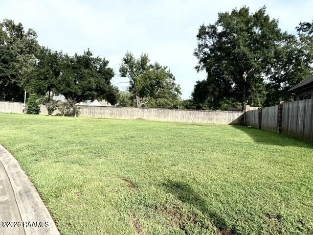 Picture 12