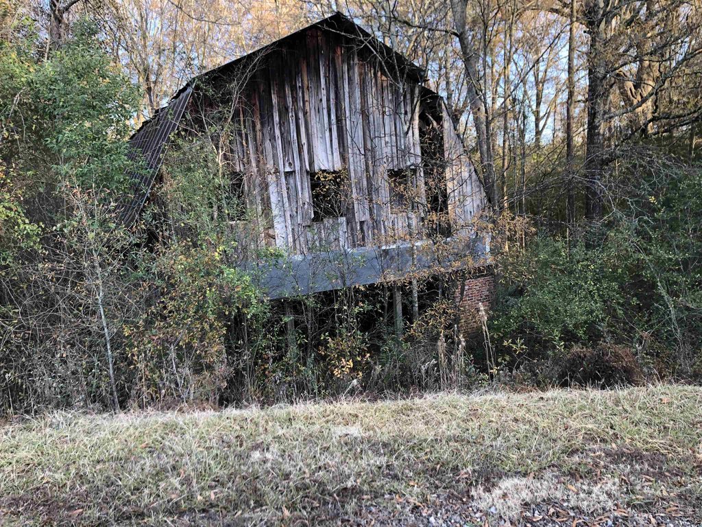 Picture 3