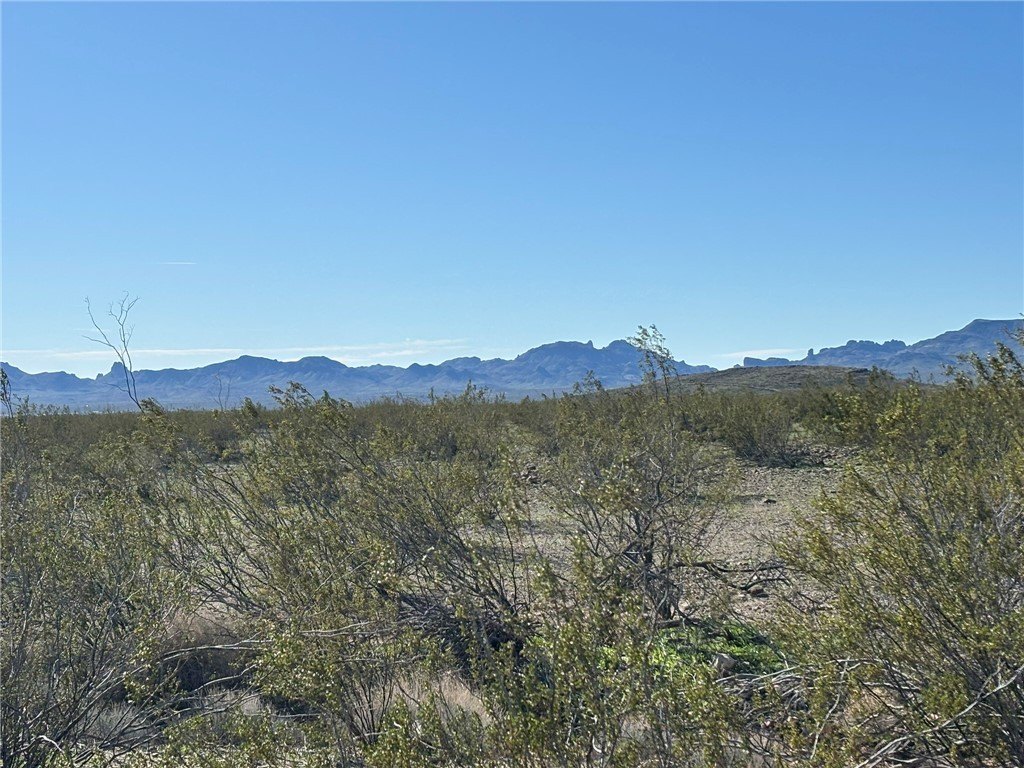Picture 18