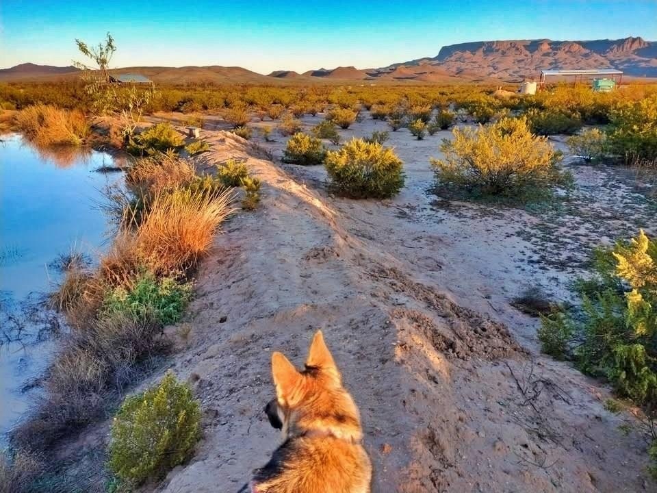 Off-Grid Terlingua Land For Sale