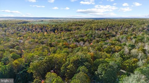 Falmouth, VA Wooded Estate Lot