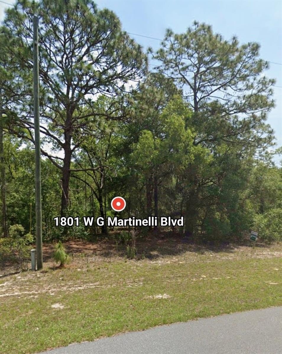 Land in Citrus Springs, Florida