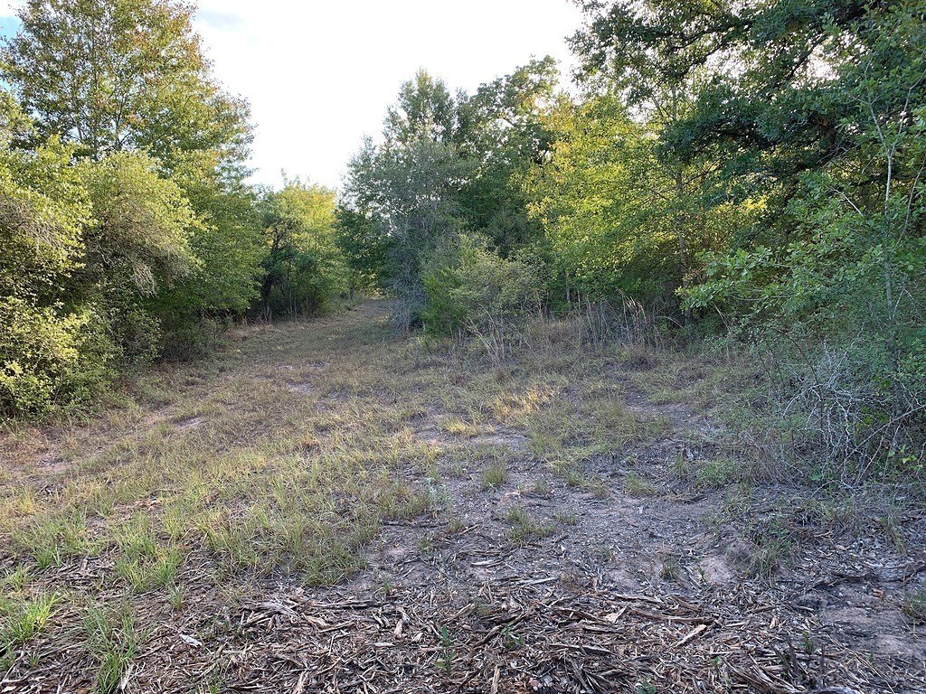 Picture 22