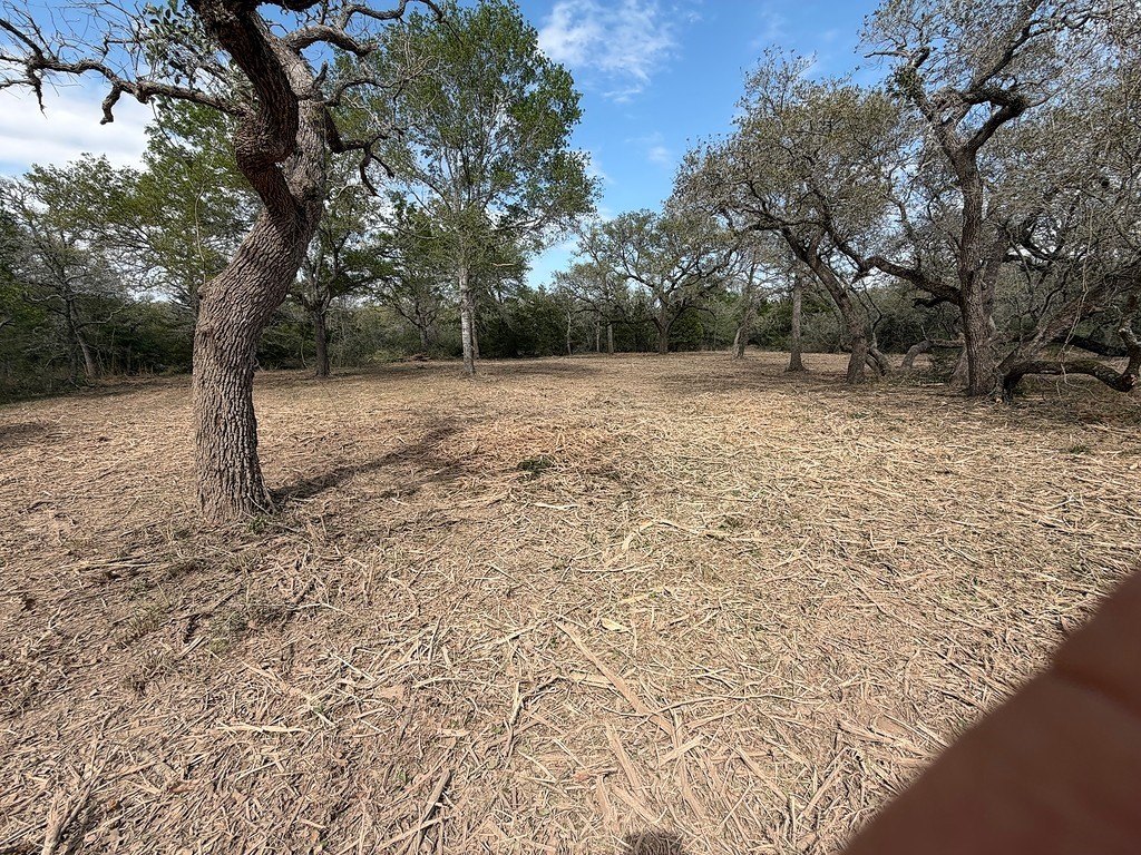 Picture 6