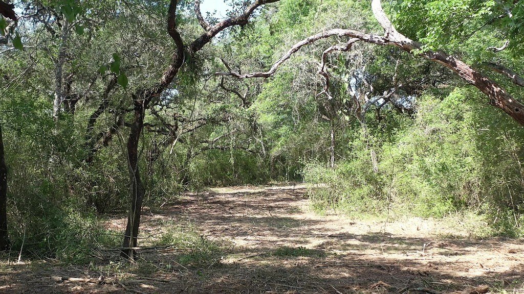 Picture 27