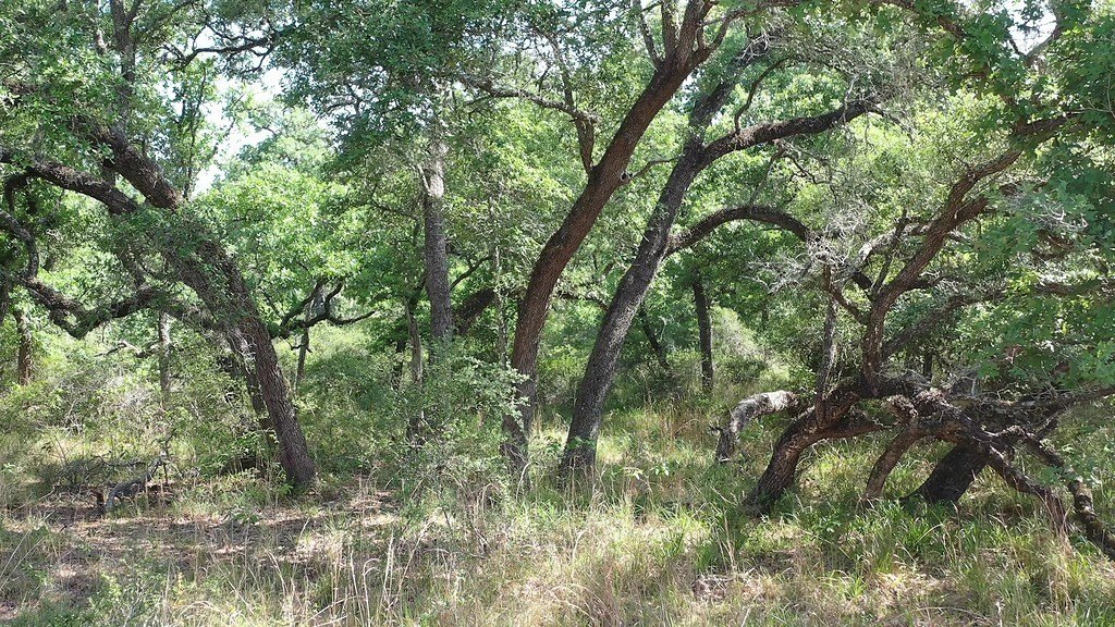 Picture 24