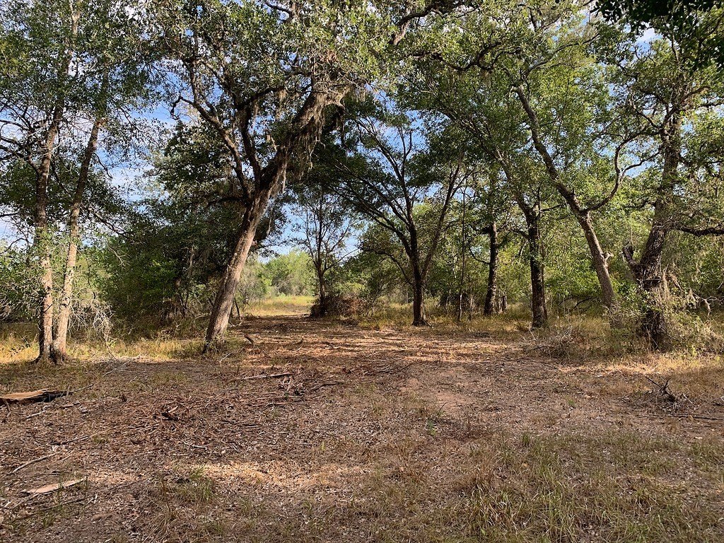 Picture 18