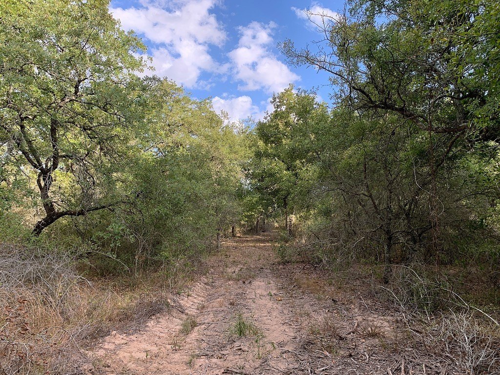 Picture 21