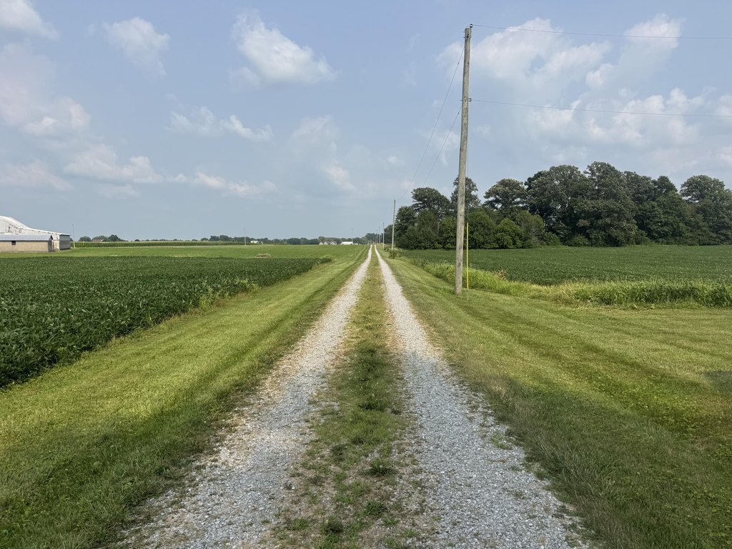 Picture 21