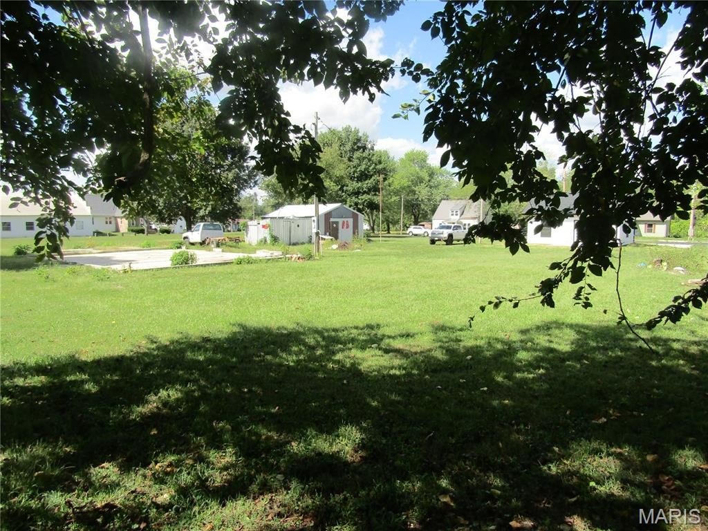 Picture 13
