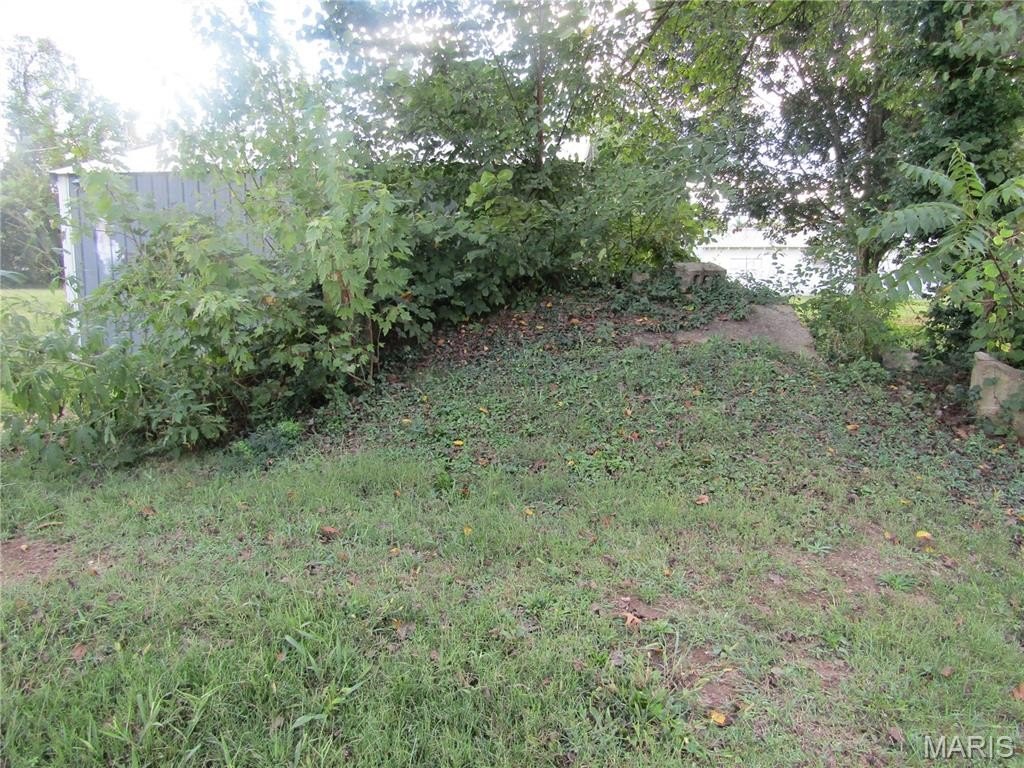 Picture 16