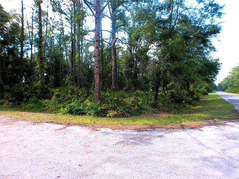 Ocklawaha Corner Parcel Homesite