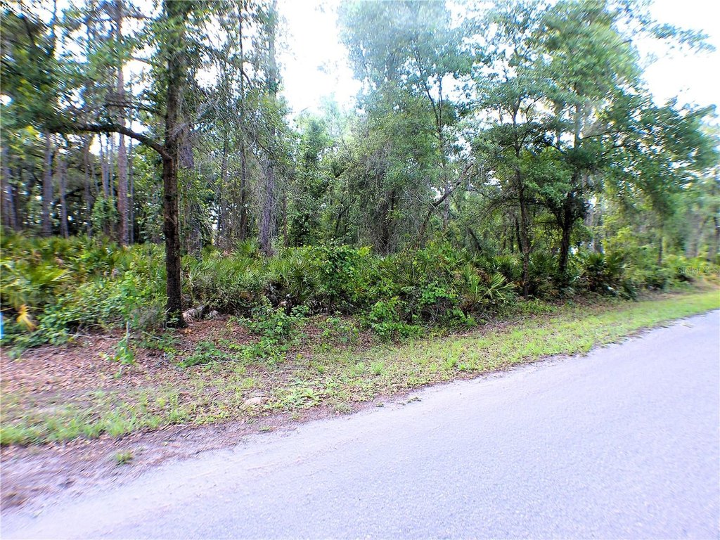 Picture 3