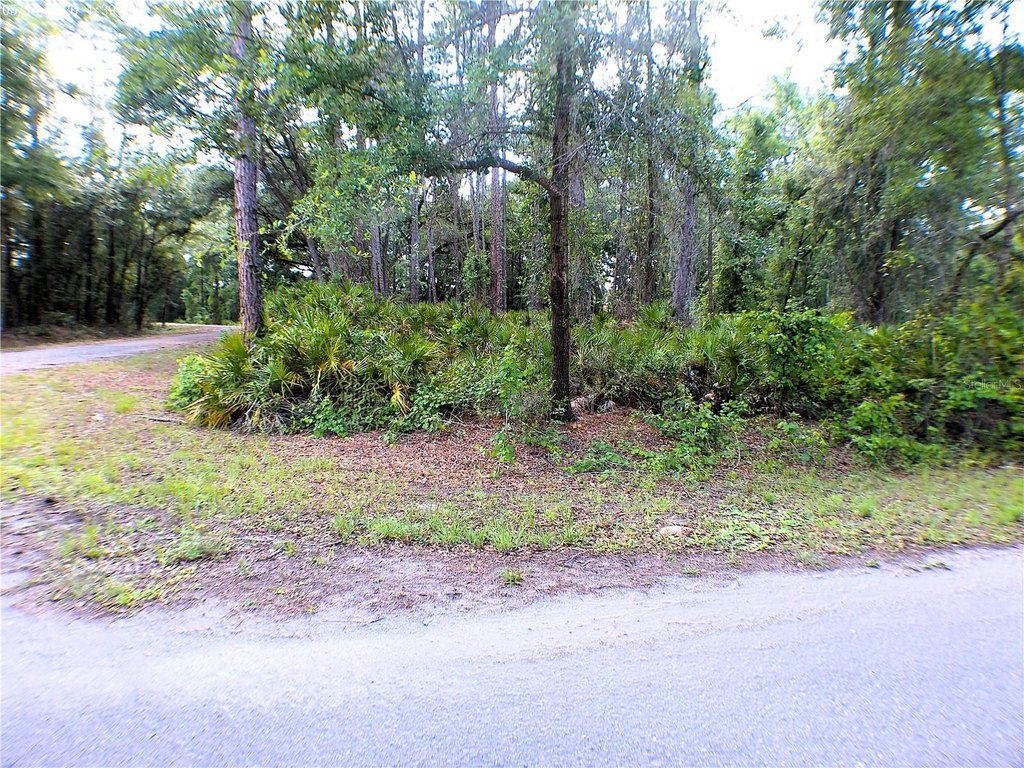Picture 2