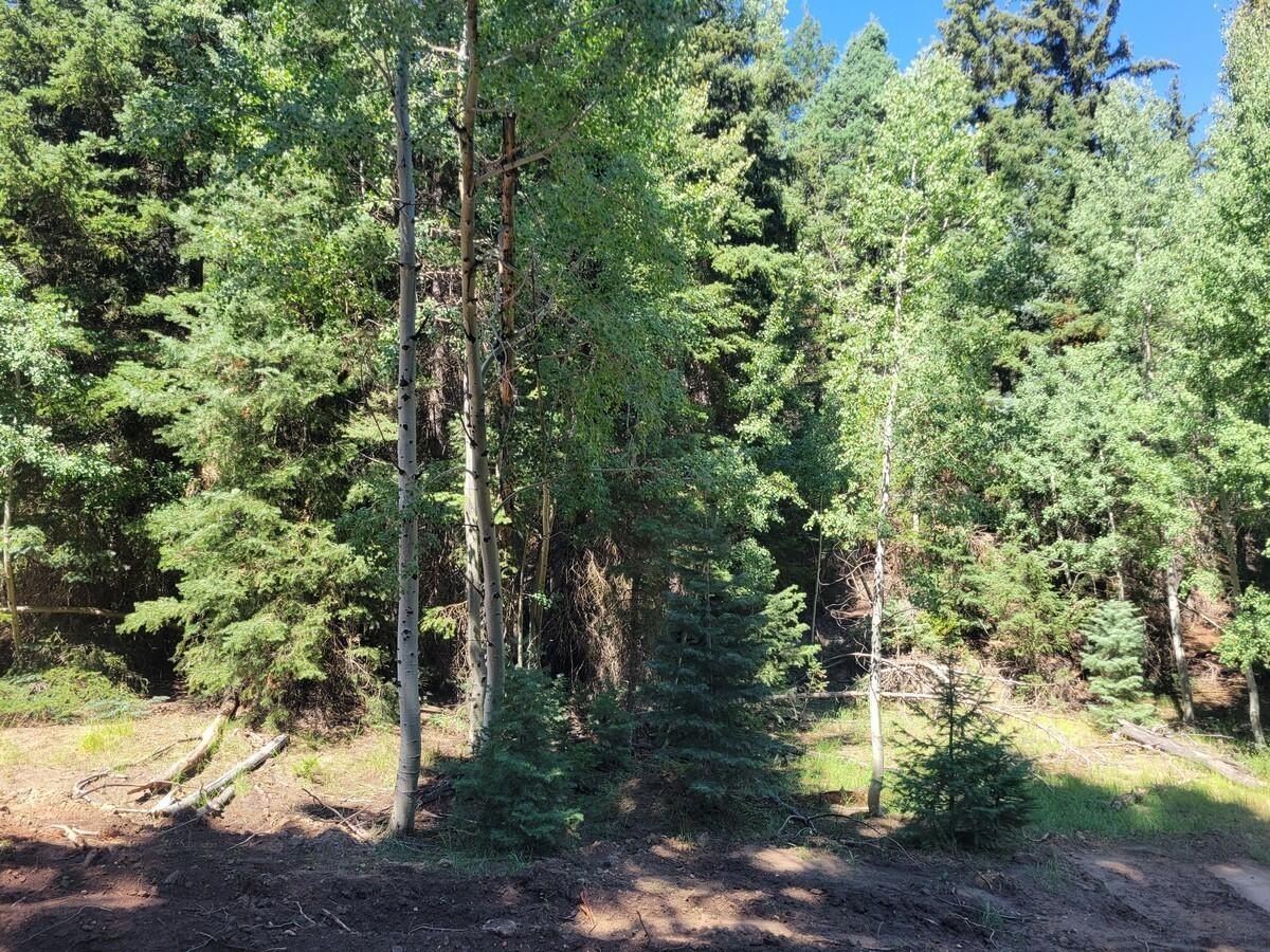 Duck Creek Building Lot