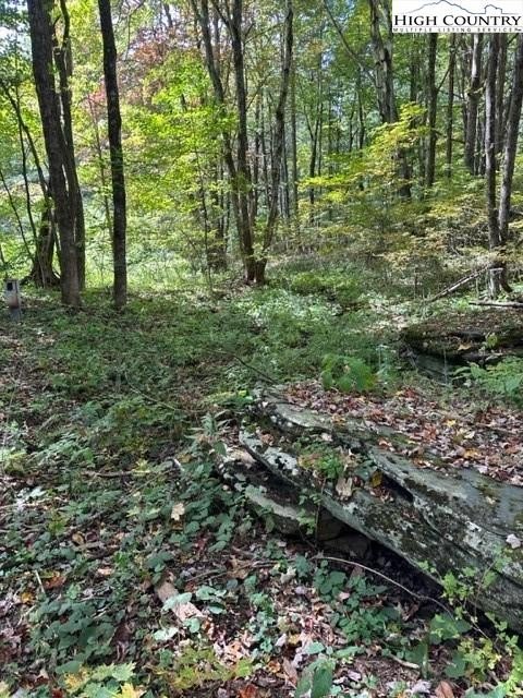 Creston, NC Campsite Lot