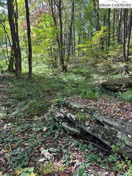 Creston, NC Campsite Lot