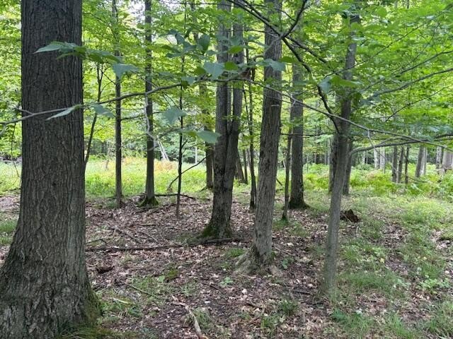 Land Parcel Near Tippy Dam