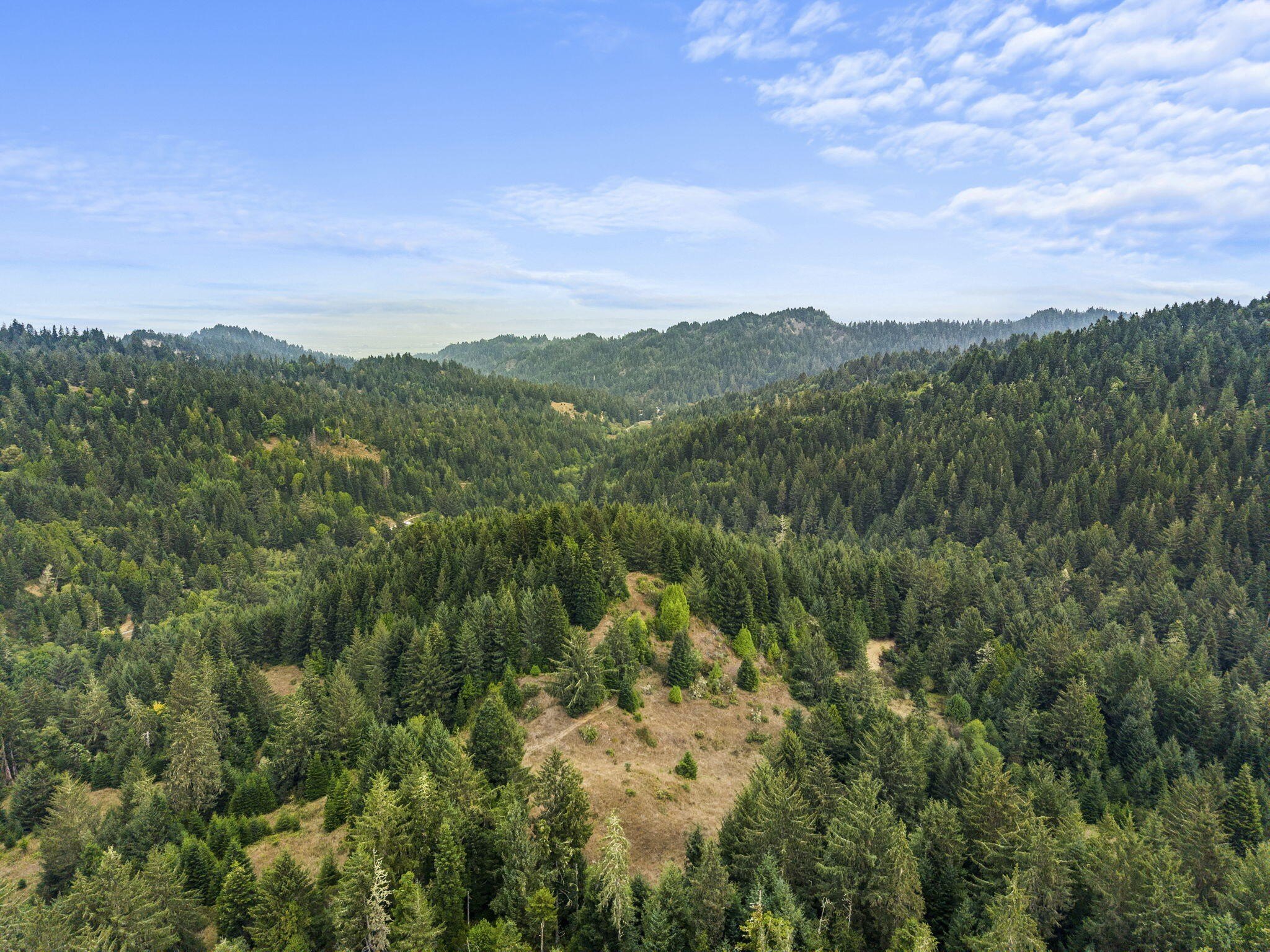 80 Acres Timber Producing Land