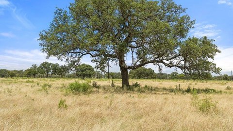 LAND - Johnson City, TX