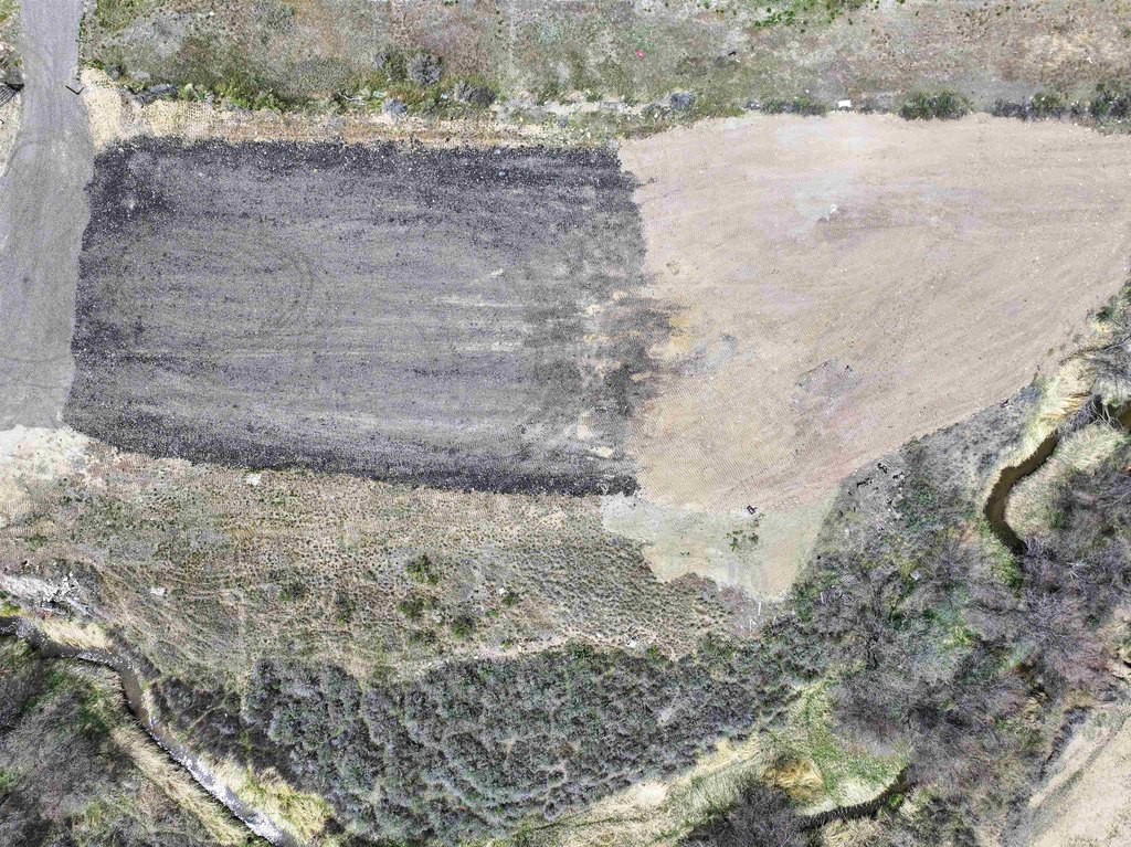Picture 25