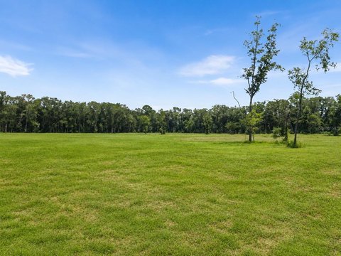 Cleared Agricultural Land