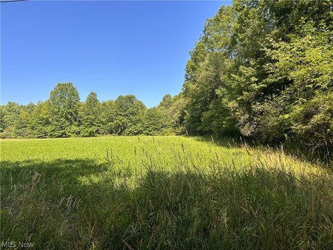 LAND - Lowellville, OH