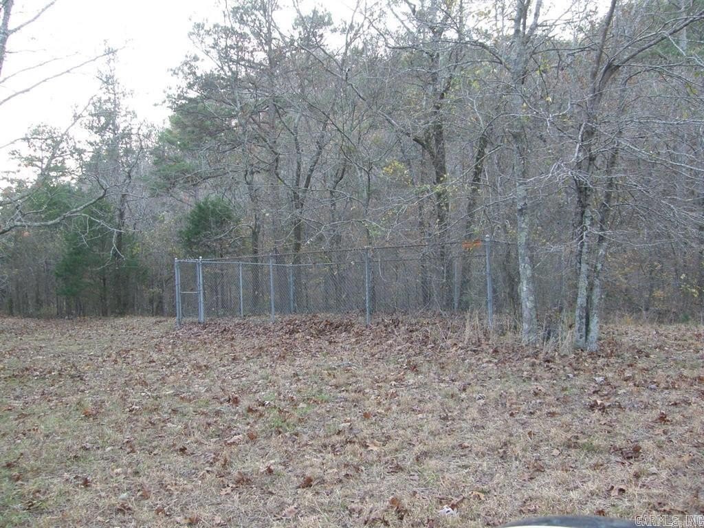 Picture 21