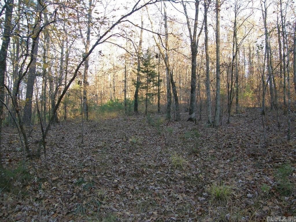 Picture 17