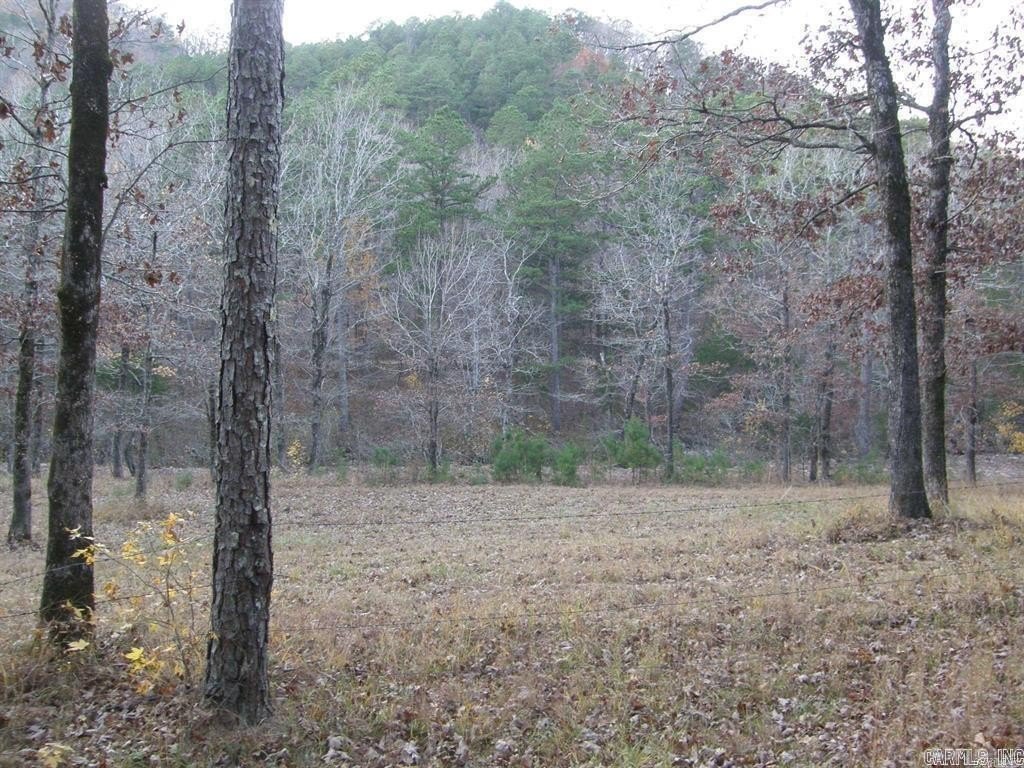 Picture 14