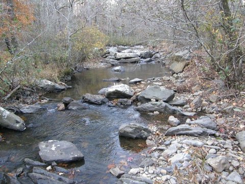 Land with River Access