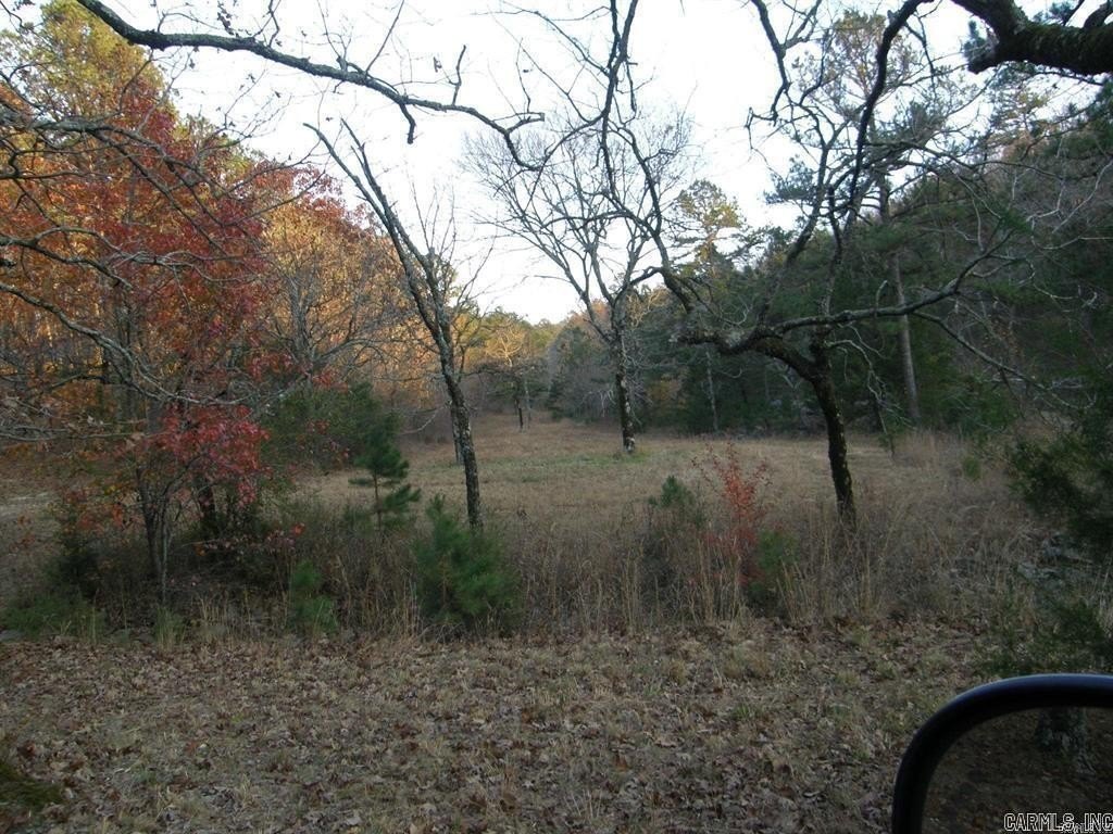 Picture 18
