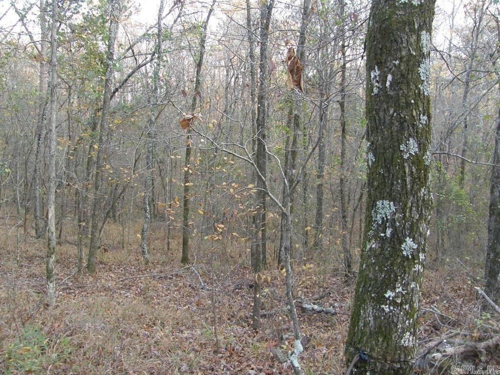 Picture 19
