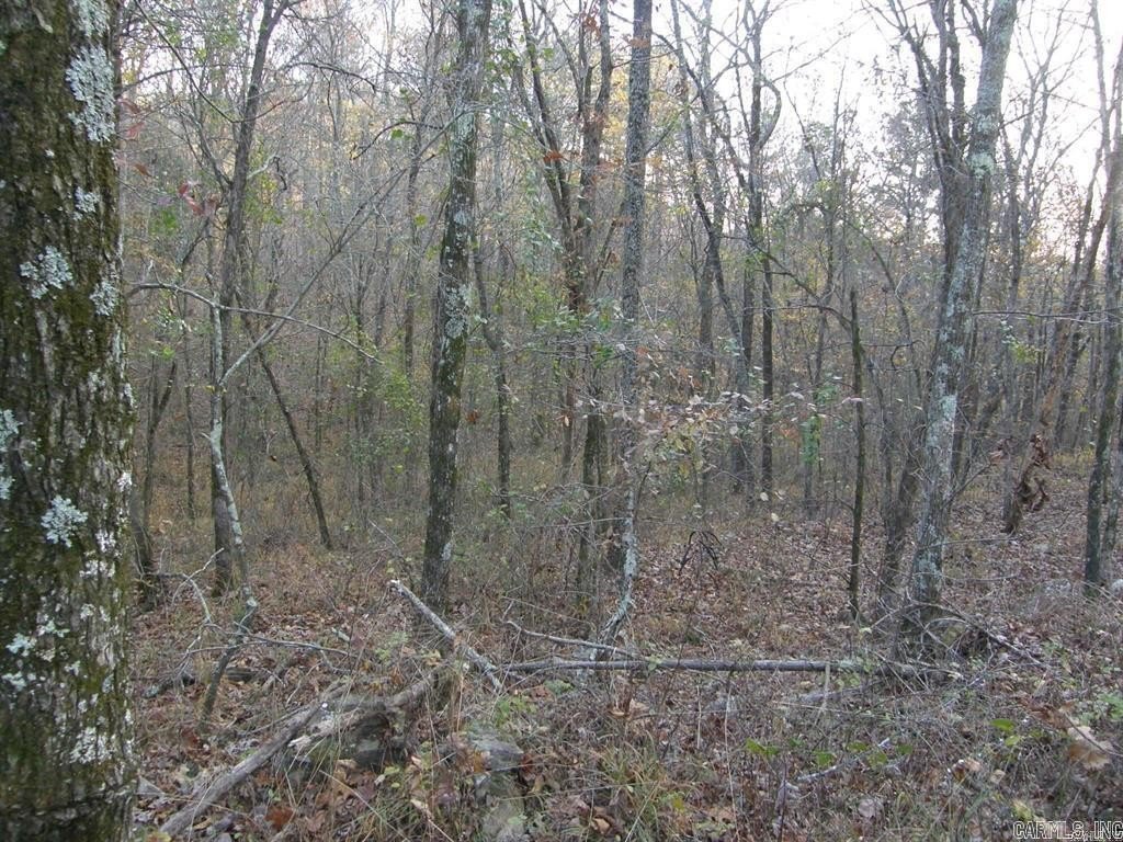 Picture 8