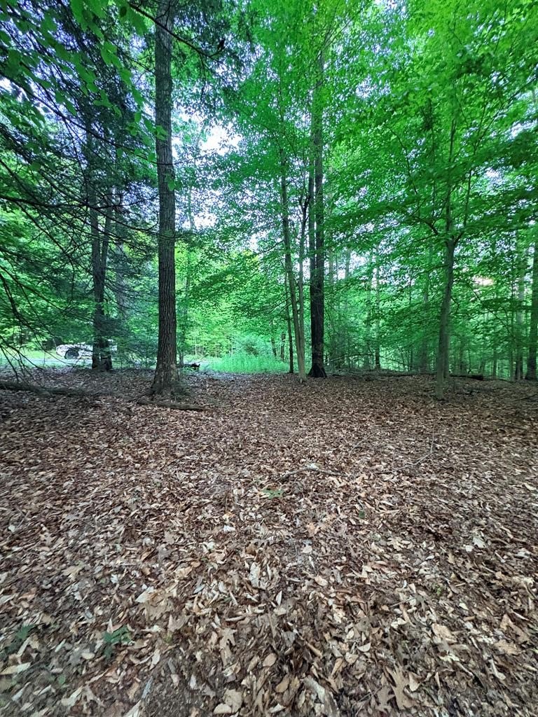 Fayetteville Land Near New River