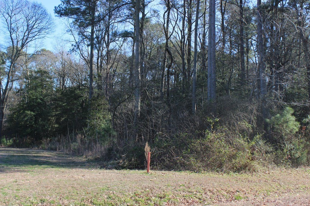 Picture 5